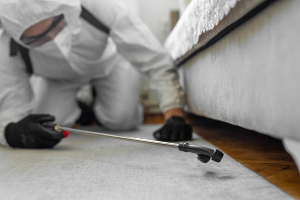 Professional Ant Control technician working in Derma, MS