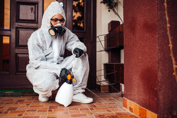 Reliable Ant Control contractor in Derma, MS by Show Me Pest Control
