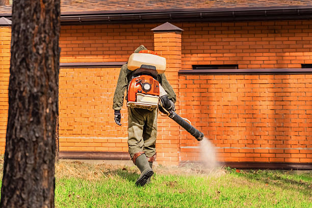 Top rated local Ant Control specialists in Derma, MS
